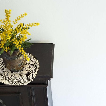 La Villa Nei Fiori Флоренция Екстериор снимка